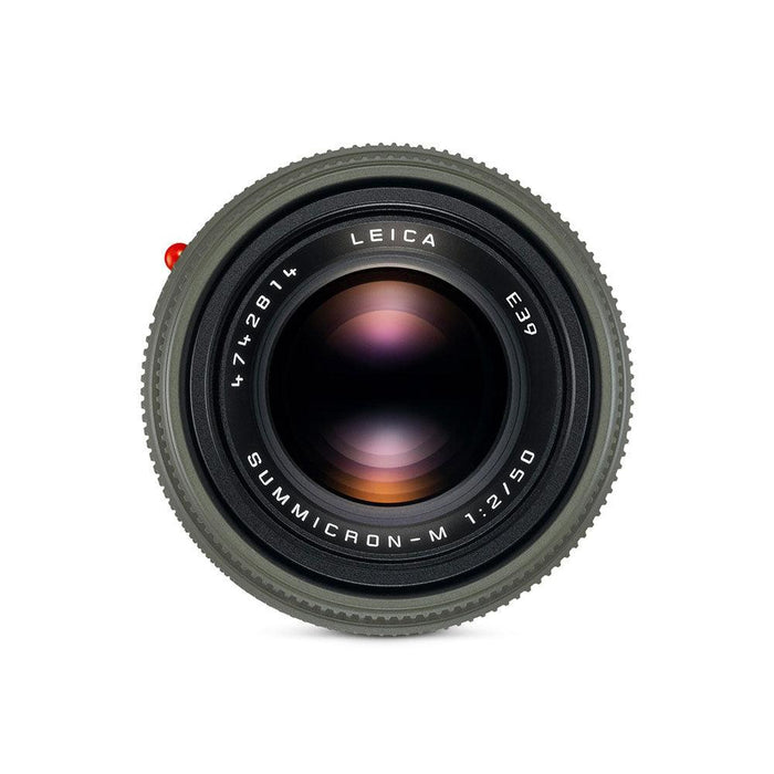 Leica SUMMICRON-M 50mm f/2 [V], Safari - Foto Ottica Cavour