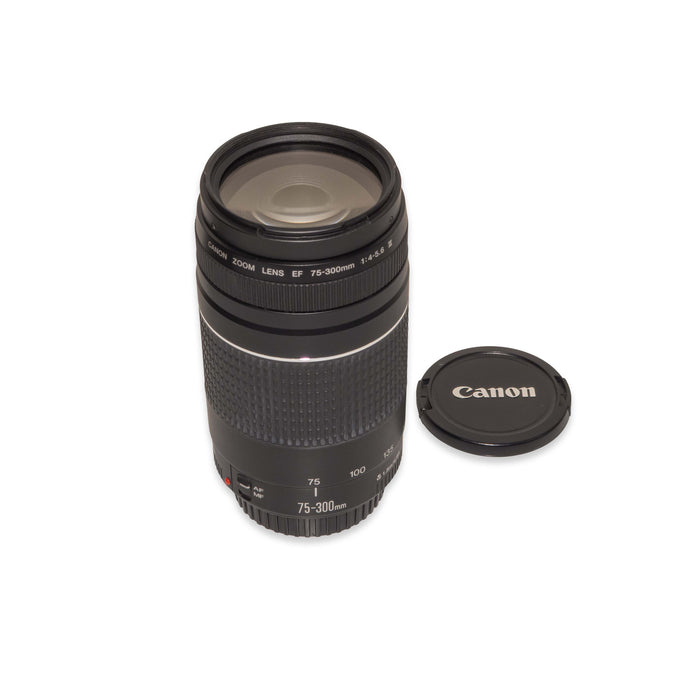 Canon EOS 700D + EF-s 18-55mm IS STM + 75-300mm 4-5.6 III