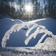 Hasselblad XCD 30mm f/3.5 - Foto Ottica Cavour