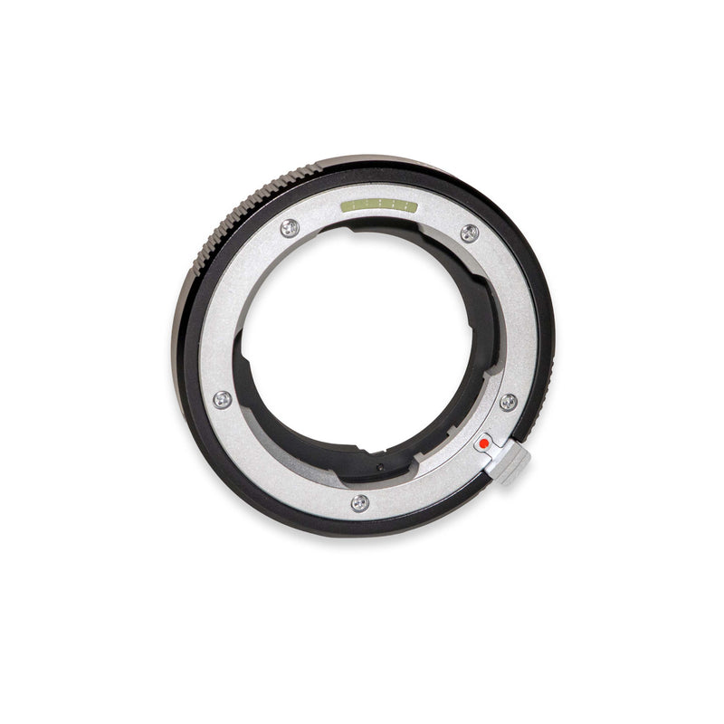 Leica Anello adattatore per obiettivi Leica M su baionetta L-mount Black