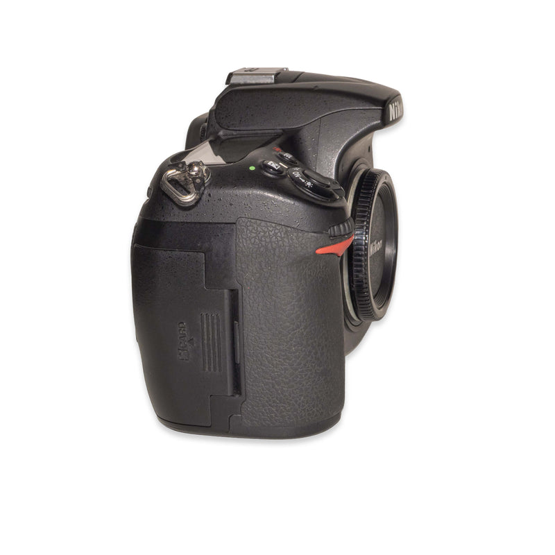 Nikon D300s
