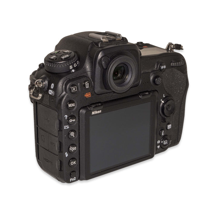 Nikon D500