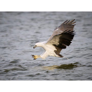 OM System OM-1 Mark II - Foto Ottica Cavour