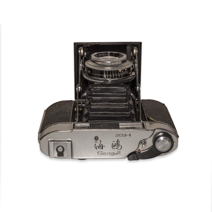 Seagull 203-1 + Haiou-31 75mm f/3.5