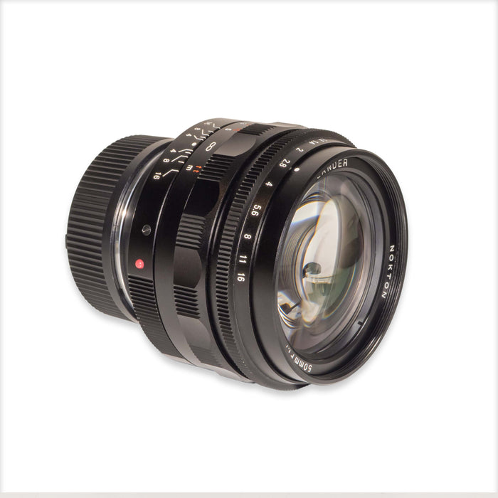 Voigtlander Nokton 50mm f/1.1 per Leica M