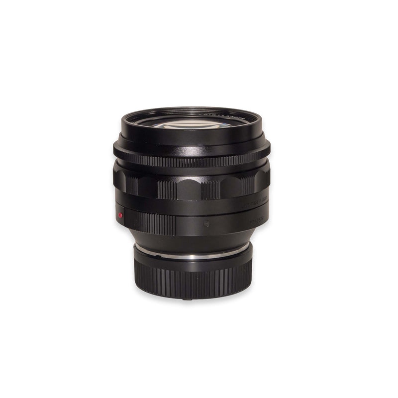 Voigtlander Nokton 50mm f/1.1 per Leica M