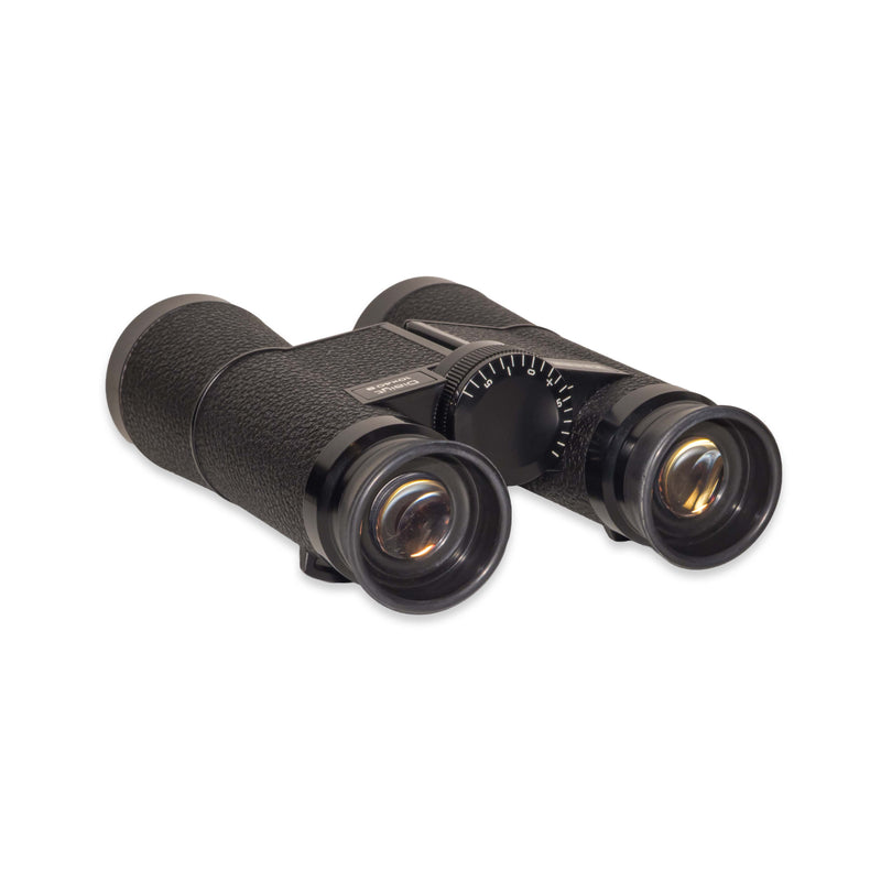 Zeiss Binocolo Dialyt 10x40 B