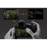 CANON EOS R6 MARK II + RF 24-105/4 L IS USM - Foto Ottica Cavour