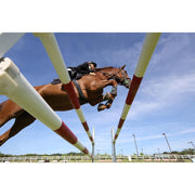 CANON EOS R6 MARK II + RF 24-105/4 L IS USM - Foto Ottica Cavour