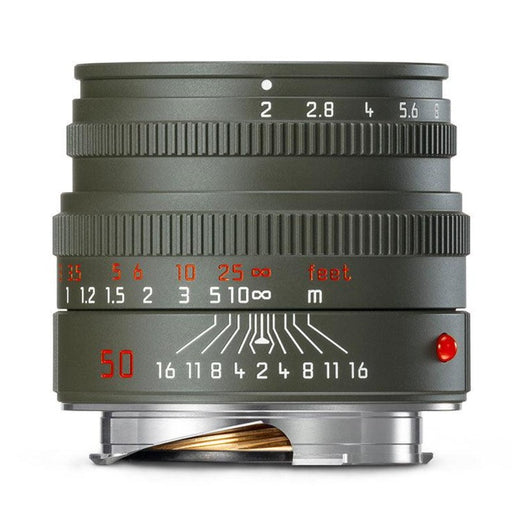 Leica SUMMICRON-M 50mm f/2 [V], Safari - Foto Ottica Cavour
