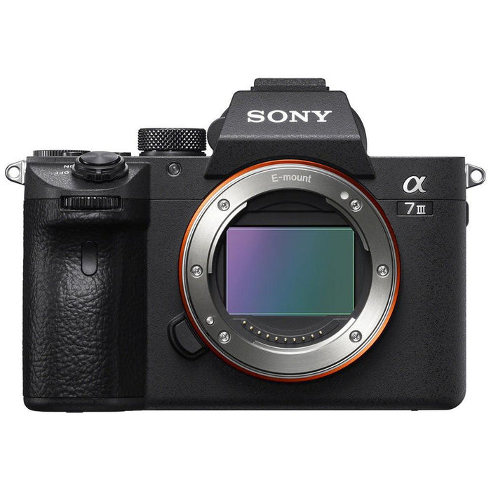 Sony a7 III + Sony FE 24-105mm F/4 G OSS - Foto Ottica Cavour